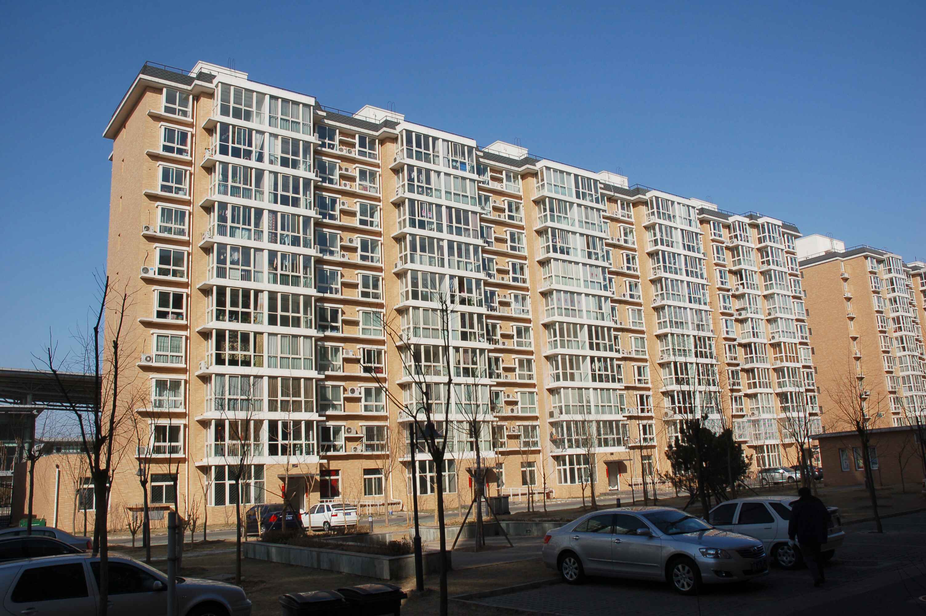 北京八大处西山枫林